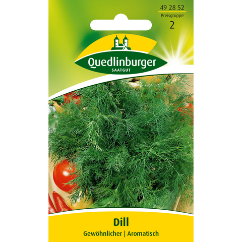 dill, gewöhnlicher